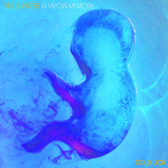 Virgin Memory