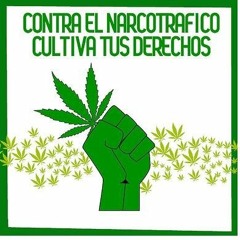 Progressive Uruguay: Marijuana, Abortion & Same-Sex Marriage (Lp8022013)