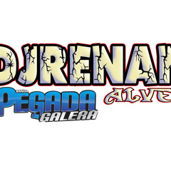 SOM AUTOMOTIVO -(( DJHAY RENAN ALVES ))- -