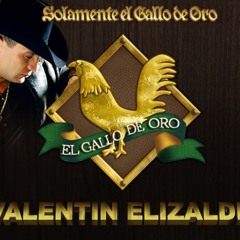 El GuacheCesar Dj - Valentin "El Gallo" Elizalde Mix
