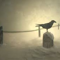 Steven Wilson - The Holy Drinker (HD)