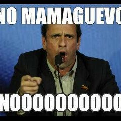 HAMPA - NK Profeta.