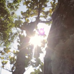 Don't you mess with my man (teaser)