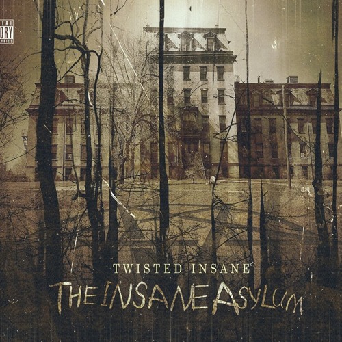 twisted insane the insane asylum allmusic