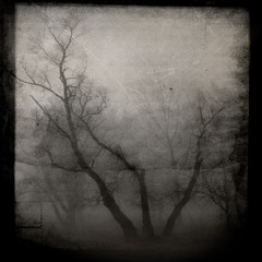 We Took Turns Dying  (song)