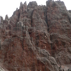 Zipi