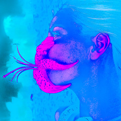 Higher Than Any Tree Top