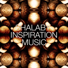 Shalaby's Inspiration