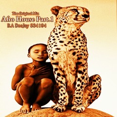 BA DeeJay 534194 / Afro House Part.1