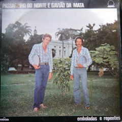 Passarinho do Norte e Gavião da Mata Eu e a sinha