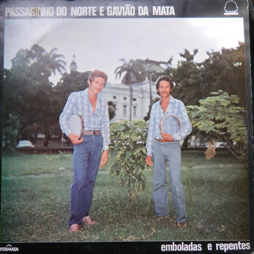 Passarinho do Norte e Gavião da Mata Eu e a sinha
