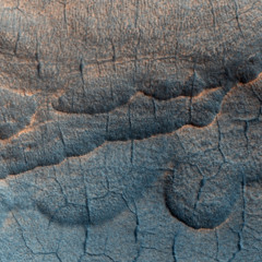 Scallop Shaped Depressions