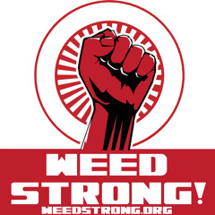 Mike and Bobby - Bridge Over Troubled Water