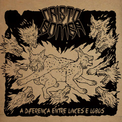 CRISTO BOMBA (São Paulo/SP) "A Diferença Entre Linces e Lobos" (Reamp/Mix/Master)