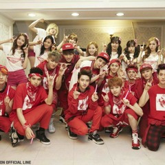 DJ Got Us Falling In Love Again-TTS Ft EXO