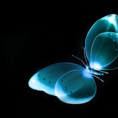 Cygnus X - The Orange Theme (Marius Verwoert 2010 Remix)