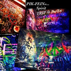 PIK-FEINs ...Spirit TRIP @ BERLIN - Afterhour ⎜ 22.07.13