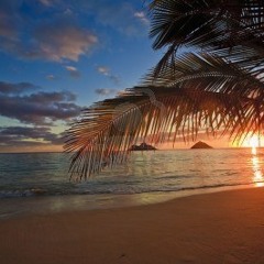 Sunrise Vol. 1 08/2013