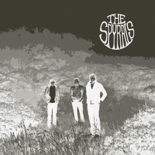 THE SPYRALS- "The Rain"