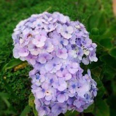 Terlalu cinta- Rossa ( COVER)