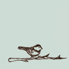 Black Balloons (LIVE @ The Colonial)