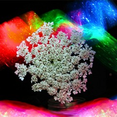 MOANS & WALLS [ PROD. SONNY ]