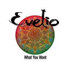 WHAT YOU WANT (DEMO VOX MIX B REF# 062413)