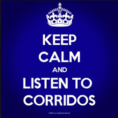 Corridos Mix c):) Lo Mas Nuevo 2013 <3
