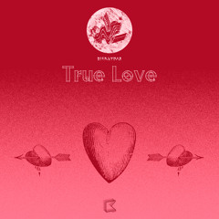 'True Love' (Original Mix) - Nick Lynar
