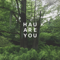 Hau Are You - Ein Delphine Hauen Mixtape