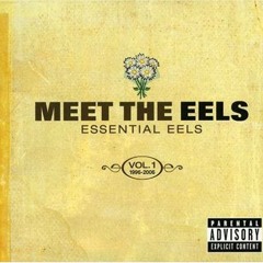 Eels - I Need Some Sleep (JacM Remix) - [www 2conv Com]