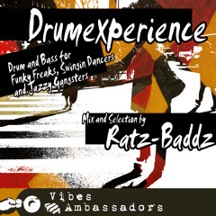 Drumexperience - DnB for Funky Freaks, Swingin Dancers  and Jazzy Gangsters