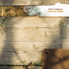 TSR03 Felix Gebhard - Gone For Walks (preview)