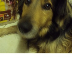 We Shall Never Part (w/ Carlo Presti & Mark J Bennett)