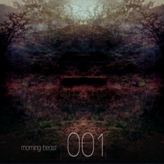 Sun Glitters Featuring Sara - Morning Beast Compilation 001 - 11 With A Taxi Through The Mountains