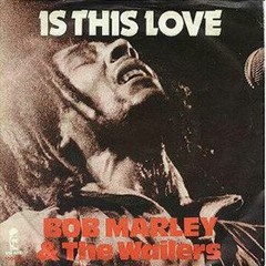 Bob Marley - Is This Love (Dub Remix By PUNK Inc.)