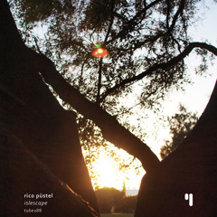 07 - Rico Püstel - Recuperation. Ascending Smoke