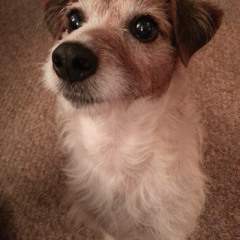 Rob Booth - August 2013 - Whats Out There