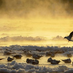 درس الليالي))صالح اليامي))