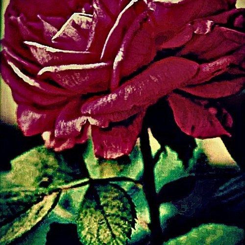 حيدر الجابري - هنا هنا الحان علي الدلفي 2013