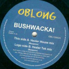Bushwacka! - Healer (GT4 House Remix)