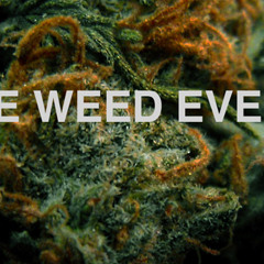 Psyborg-Smoke weed everyday