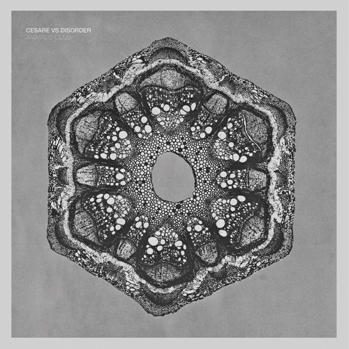 Cesare vs Disorder_Chacha Malaga [Stock5 015]