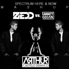 Ummet Ozcan vs Zedd feat. Matthew Koma - Spectrum Here & Now (Arthur Castelo Branco MashUp)