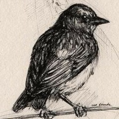 Little Bird (Live From Studio A)