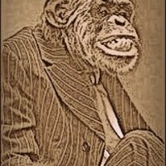 Lucy's Fur (Live From Studio A)