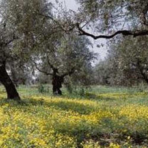 خذني معك - سلوى قطريب