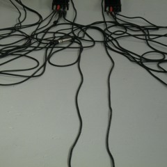 Carriage of the Voice