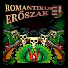Romantikus Erőszak - Ereszd be Tótot [kiver a házadból]