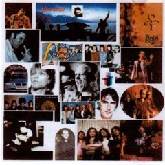 03 fool for your lovin